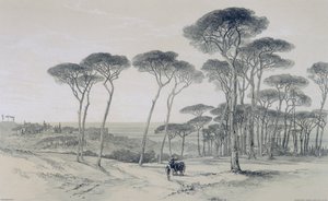 Vistas de Roma y sus Alrededores: Vista de Frascati desde Villa Mondragone de Edward Lear